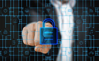 华体会app优惠-体育特许经营管理制度构建与案例研究，体育行业特有职业培训试点单位